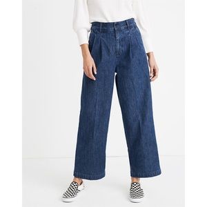 Madewell Pleated Wide Leg Jeans in Seabrook Wash